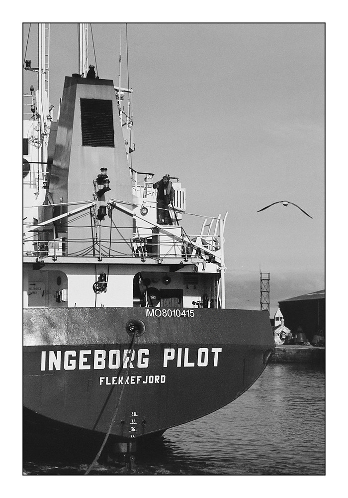 Ingeborg Pilot