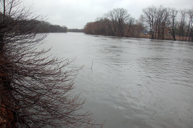 Charles River, 15 March 2010: Swollen banks after 3 solid days of heavy rain