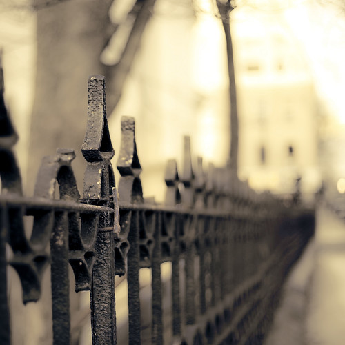 Friday's fenceh is full of fish and chips by raceytay {I br♥ke for bokeh}