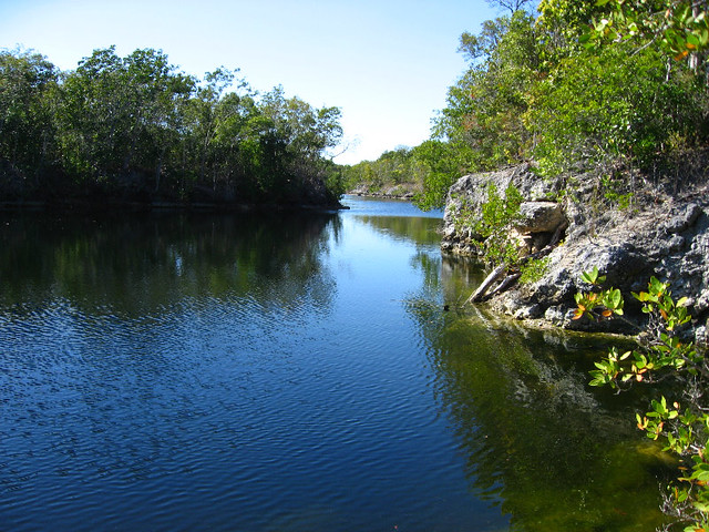 Dagny Johnson Key Largo Hammock Botanical State Park - Key Largo, FL