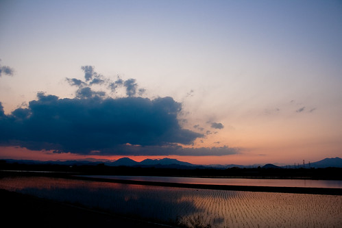 sunset reflection water japan ricefield tochigi 栃木 takanezawa 高根沢