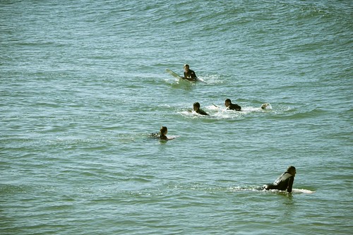 Durban Surf