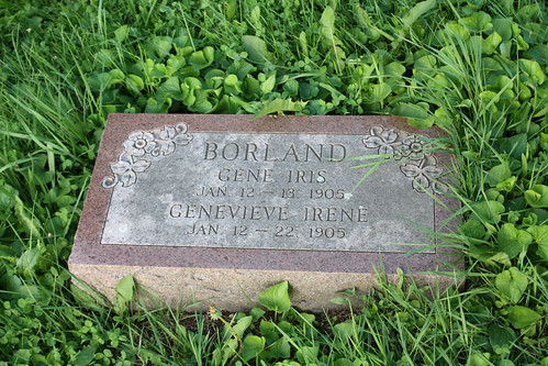 ohio cemetery z monroetownship harrisoncounty longviewcemetery borlandfamily