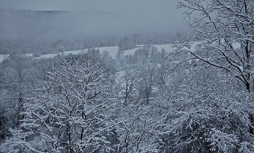 snow upstatenewyork elkcreek schenevus otsegocounty winteredbrodzinsky