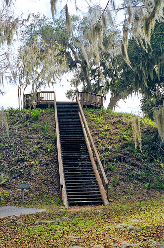 trees stairs florida platform spanishmoss mound crystalriver