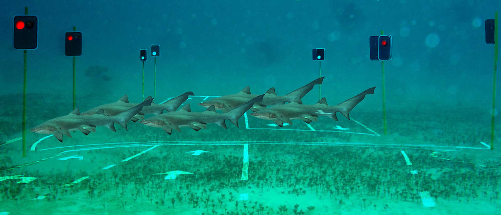 Ocean floor intersection | I am not sure about this one... I… | Flickr
