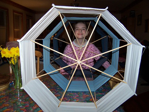 Octagon Box Kite | by 4AcreFarmer