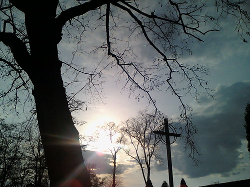 A suicide by recedogory, sunset tree cross mielec cementary