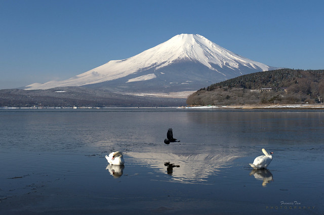 Mount Fuji From Yamanakako Lake