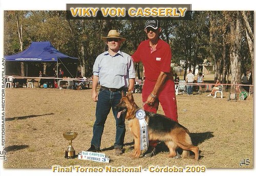 VC 8 | by Von Casserly