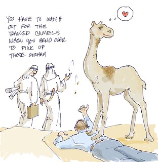camel joke | by robinshall