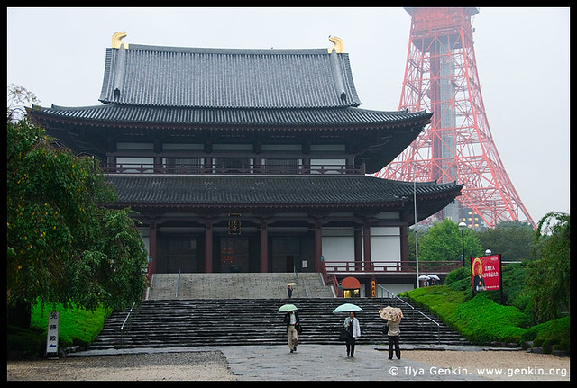 Zojoji Temple and Tokyo Tower, Shiba Park, Minato, Tokyo, Kanto Region, Honshu Island, Japan
