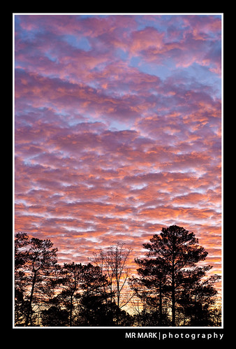 trees atlanta snow silhouette clouds sunrise 50mm18 nikond90