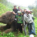 Petualang foto bareng Gajah Guci