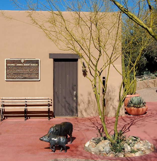 Arizona Sonora Desert Museum, Tucson