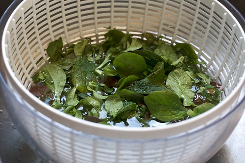 Rinsing Salad Greens
