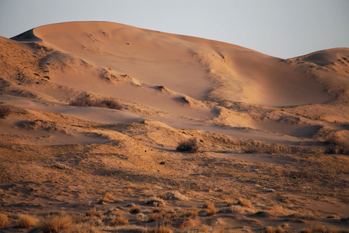 Dune at Sunrise by mcmillend, Kelso Sand Dunes, Mojave National Preserve, California
The Kelso Sand Dunes are among the largest d