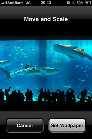 Iphone の壁紙変えた 黒潮の海 沖縄美ら海水族館 Ysishikawa Flickr