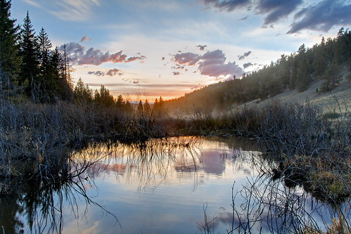 Beaver pond by Rob Little