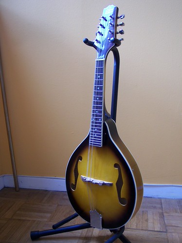 Rogue Mandolin 2008 | by chillmiked