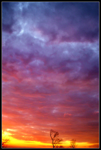 pink blue autumn winter sunset sky orange hot cold tree sexy fall clouds sunrise evening amazing cool december alone cloudy overcast sunny