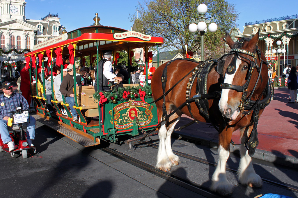 Horse Drawn Street Car | Magic Kingdom, Walt Disney World, F… | Flickr