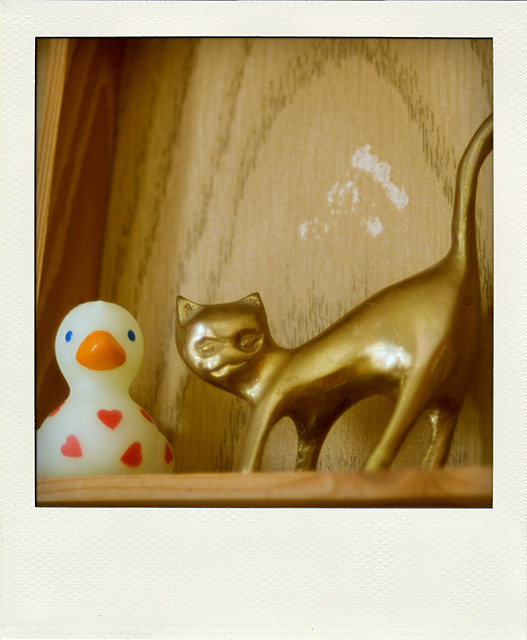 081/365: Ducky & Kitty