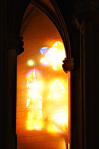 Cathedral of Light by Dave Hilditch Photography