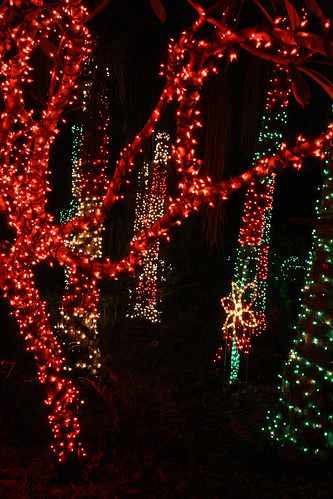 Christmas Lights @ Florida Botanical Gardens | 2009 Christma… | Flickr