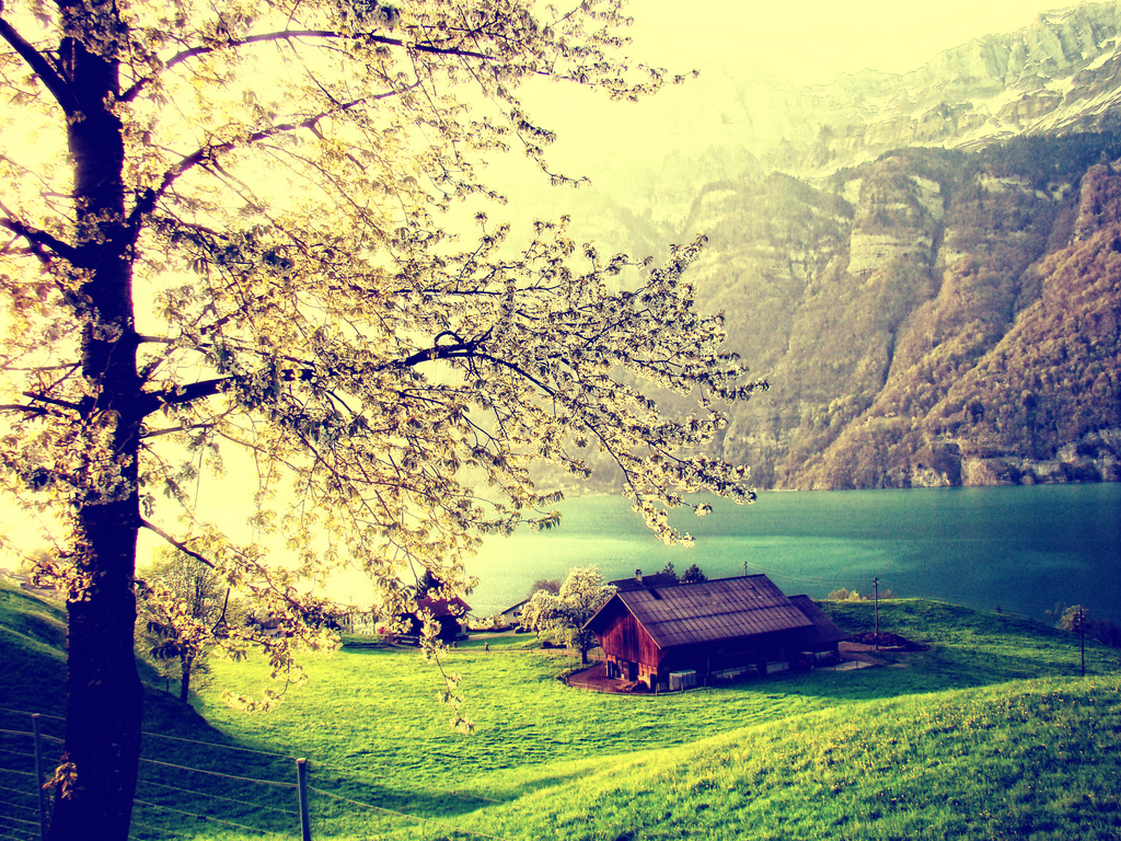 Imagine Spring… | Heidiland... Switzerland /w… | Flickr