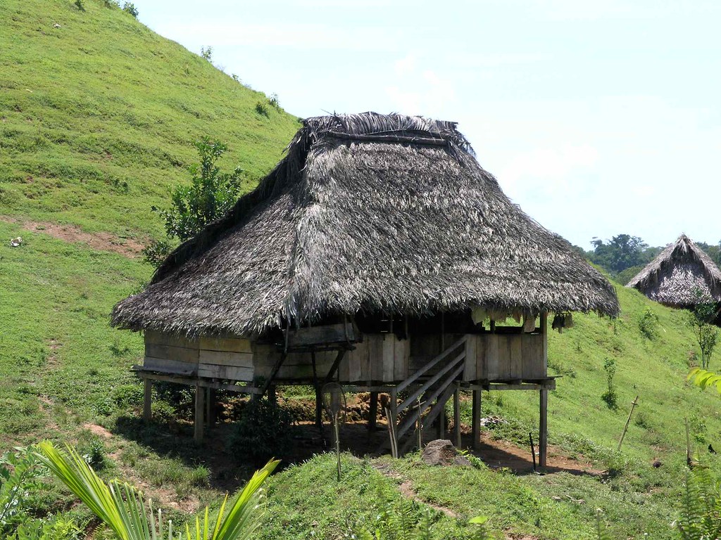 Casas indígenas (Ngöbe-Buglé) - Native houses on hillside,… | Flickr