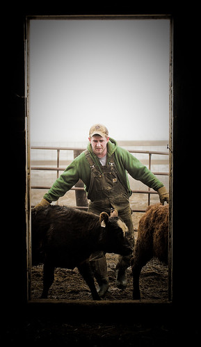 door weather fog barn cattle farmer joemurphy josephlmurphy jmurphpix