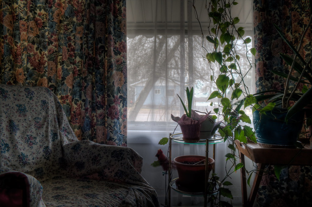 Living Room Window by Billy Wilson Photography