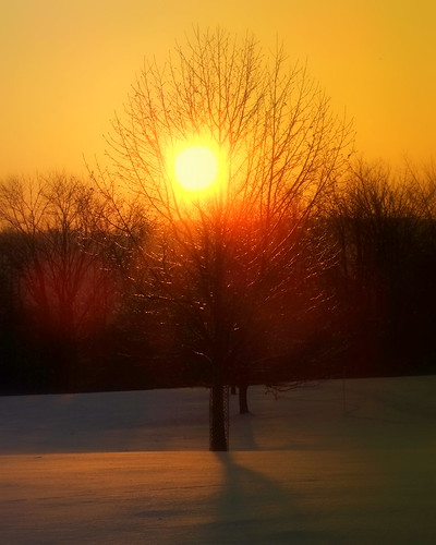 winter ohio cleveland beautifullight wintersunrise kirtland holdenarboretum lowmorningsun awintermorning seenfromsperryroad