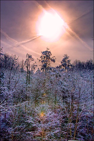 Narnia: the Afternoon Sun
