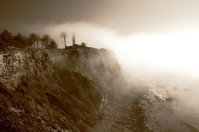 Day 79 - Spring Fog, Point Vicente
