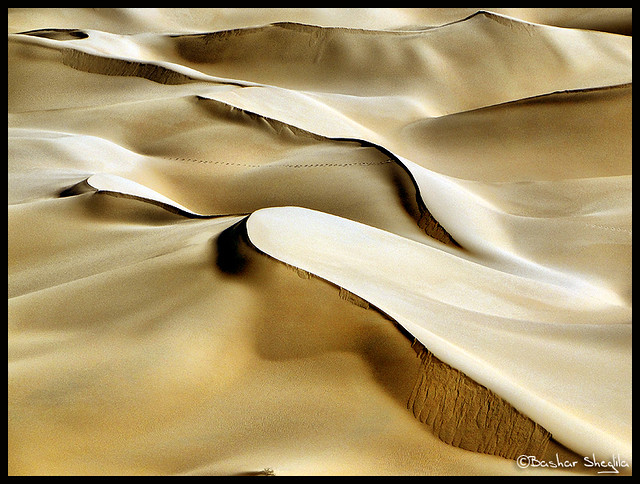 Sahara Art !