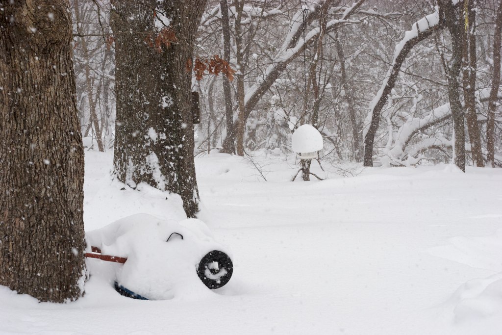 Backyard | Snowstorm of Feb. 6, 10 | Captured Life Art | Flickr
