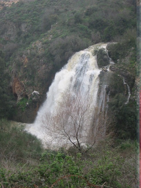 Israel - Waterfall