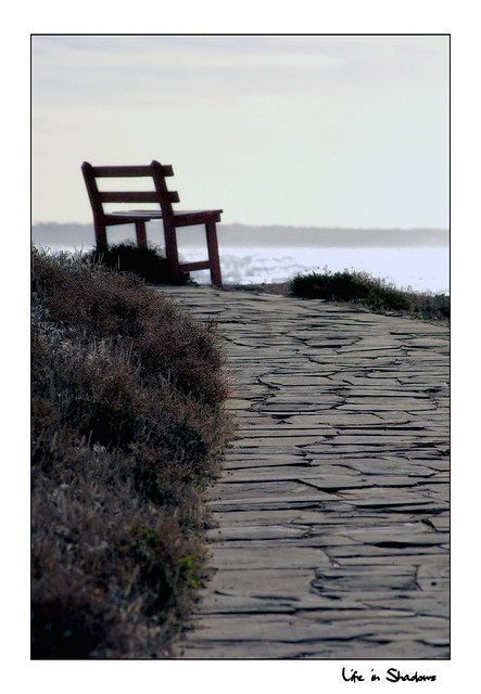 Lonely bench, ocean