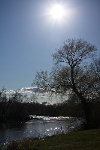 blue trees sky brown green water minnesota river mississippi landscape spring branches land buds elk blooms twigs mn