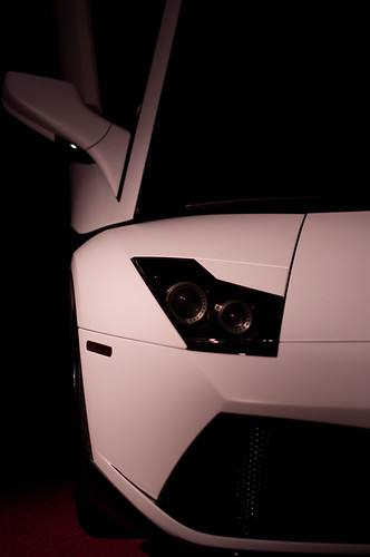 Lambo by mybulldog