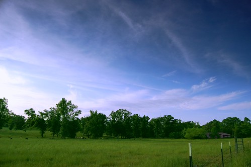 sky field clouds fence mississippi cows pasture hattiesburg