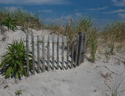 Fence | by DickWhite