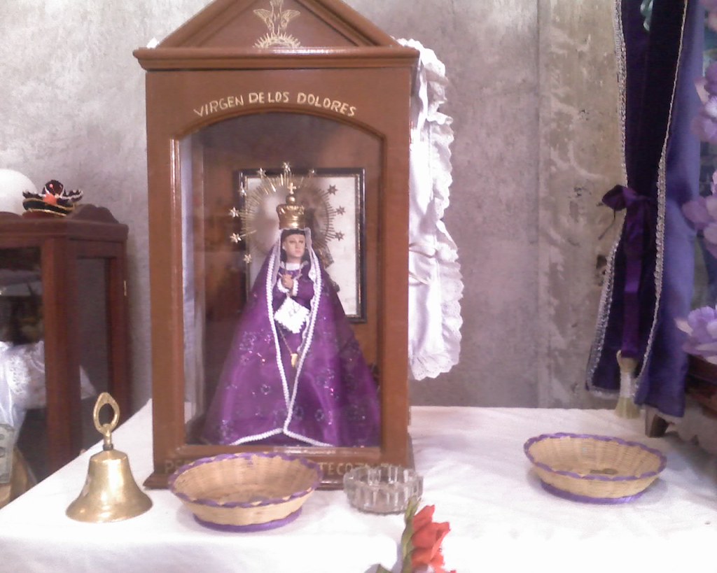 Virgen de los Dolores (Peregrinos a pie de Tecozautla, Hgo… | Flickr