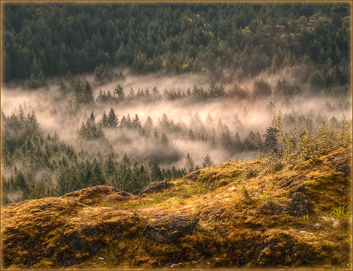 Misty Morning from Lone Tree Hill by TT_MAC