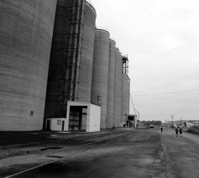 Grain Elevators Along The Course