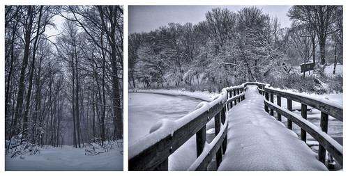 Pathways to Nowhere by chardeenly