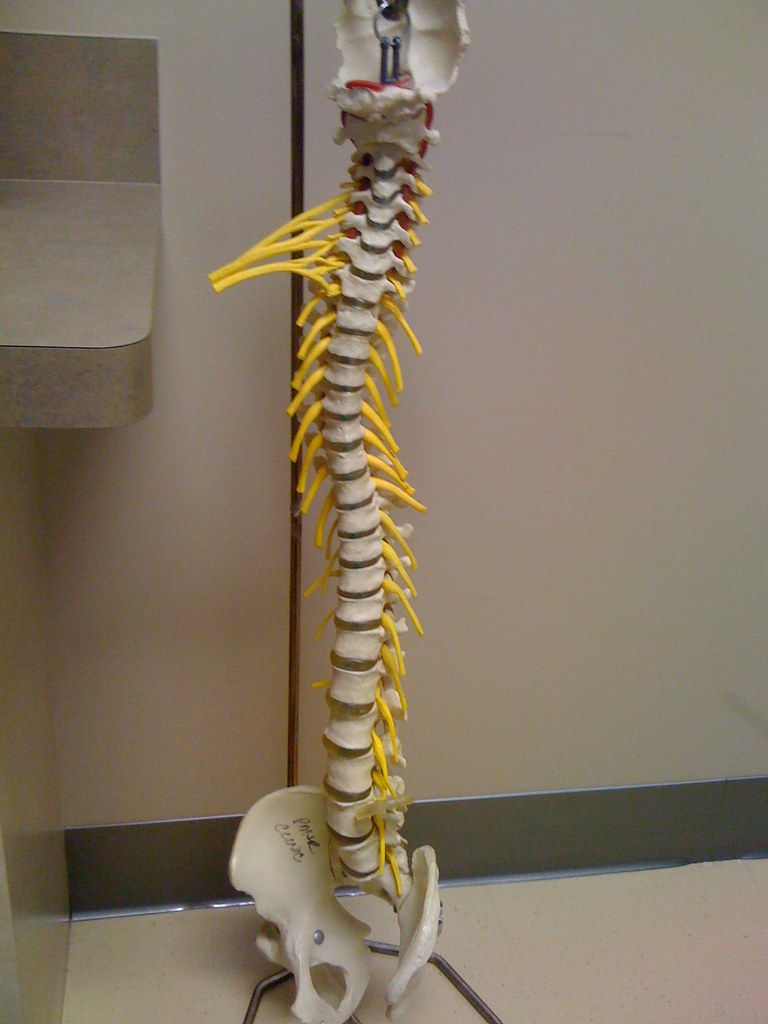 spine clinic