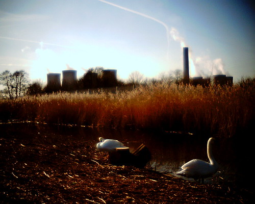Untitled | by Frozen Lollipop